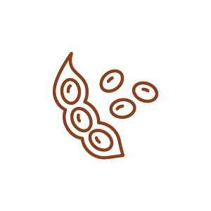 Soya